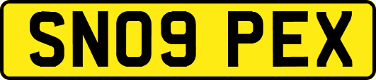 SN09PEX