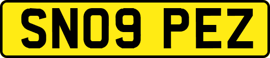 SN09PEZ