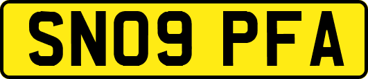 SN09PFA