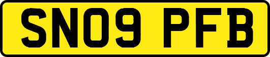 SN09PFB