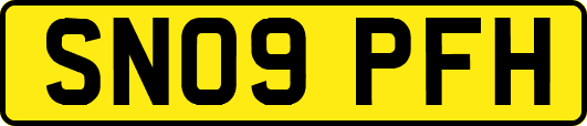 SN09PFH