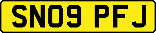 SN09PFJ