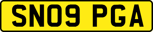 SN09PGA