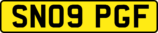 SN09PGF