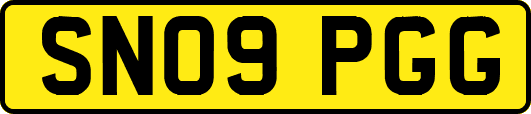 SN09PGG