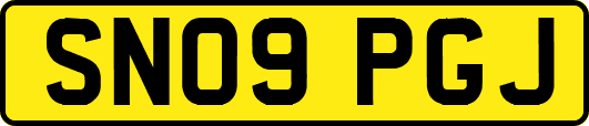 SN09PGJ