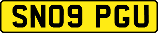 SN09PGU