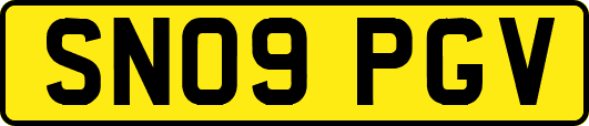 SN09PGV