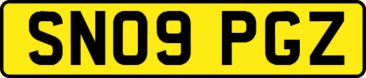 SN09PGZ