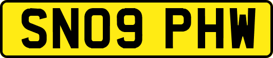SN09PHW