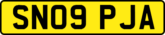 SN09PJA