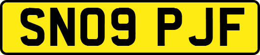SN09PJF
