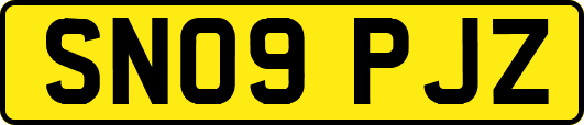 SN09PJZ