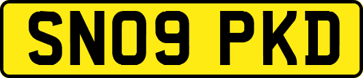SN09PKD