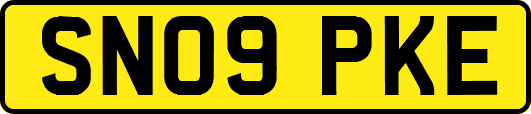 SN09PKE