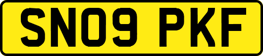SN09PKF