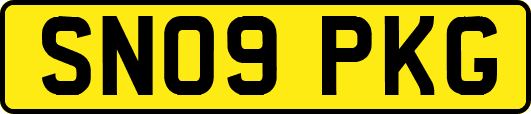 SN09PKG