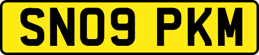 SN09PKM