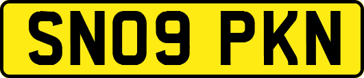 SN09PKN