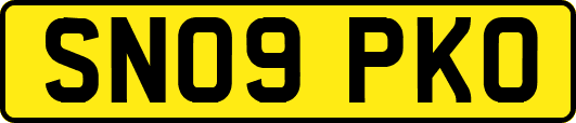 SN09PKO