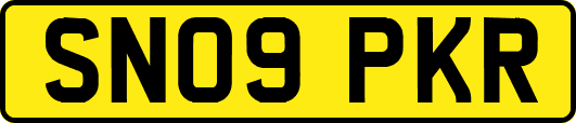 SN09PKR