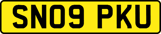 SN09PKU