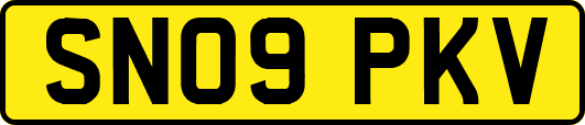 SN09PKV