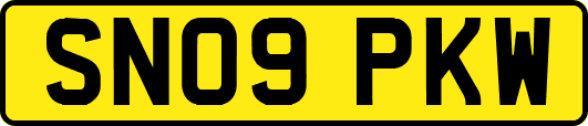 SN09PKW