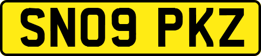 SN09PKZ