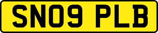 SN09PLB