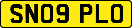 SN09PLO