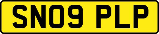SN09PLP