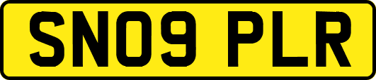 SN09PLR
