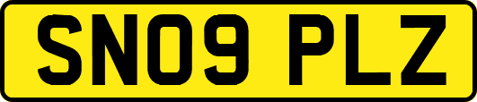 SN09PLZ