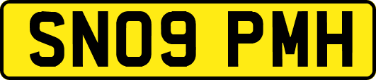 SN09PMH