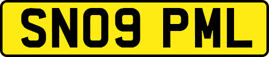SN09PML