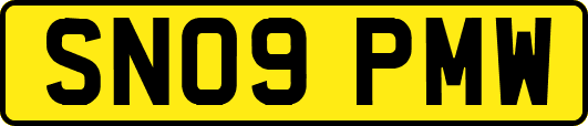 SN09PMW