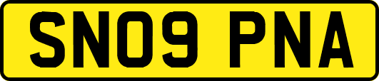 SN09PNA