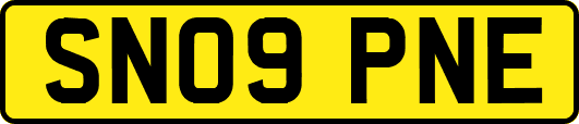 SN09PNE