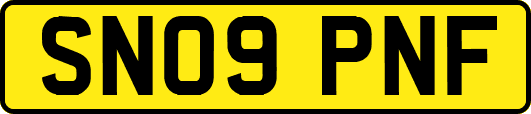 SN09PNF