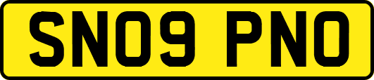 SN09PNO