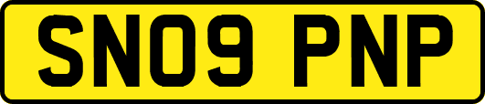 SN09PNP