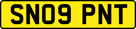 SN09PNT