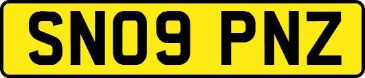 SN09PNZ