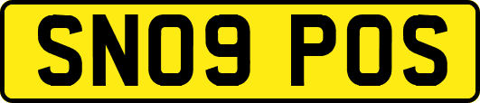 SN09POS