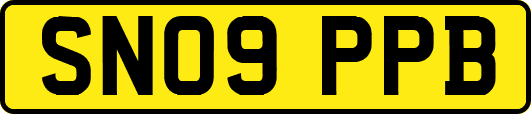 SN09PPB