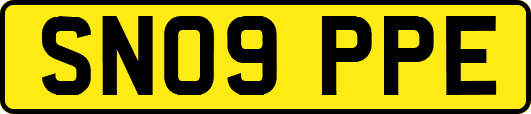 SN09PPE