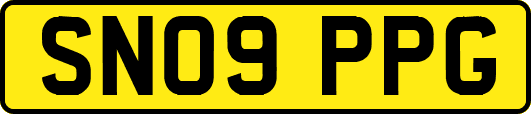 SN09PPG