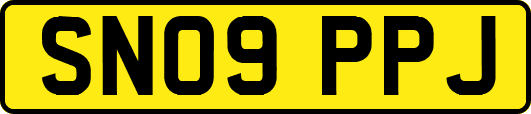 SN09PPJ