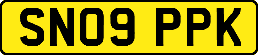 SN09PPK